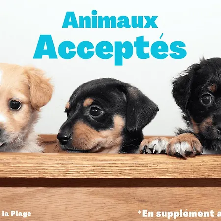 Confortable, Face A La Mer, Animaux Admis - Fr-1-323-449