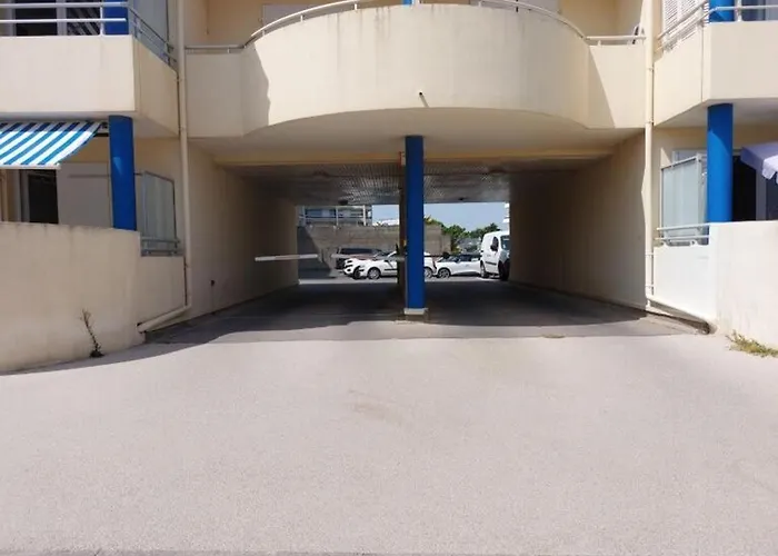 Confortable, Face A La Mer, Animaux Admis - Fr-1-323-449 생 힐레르 드 리에