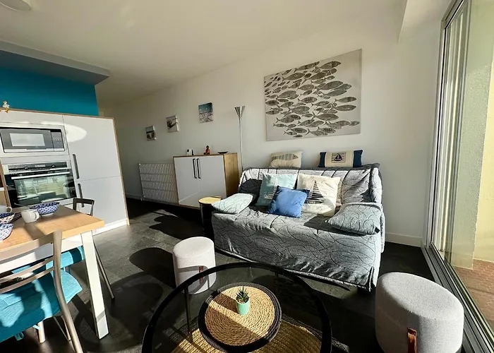 Confortable, Face A La Mer, Animaux Admis - Fr-1-323-449 * Saint-Hilaire-de-Riez